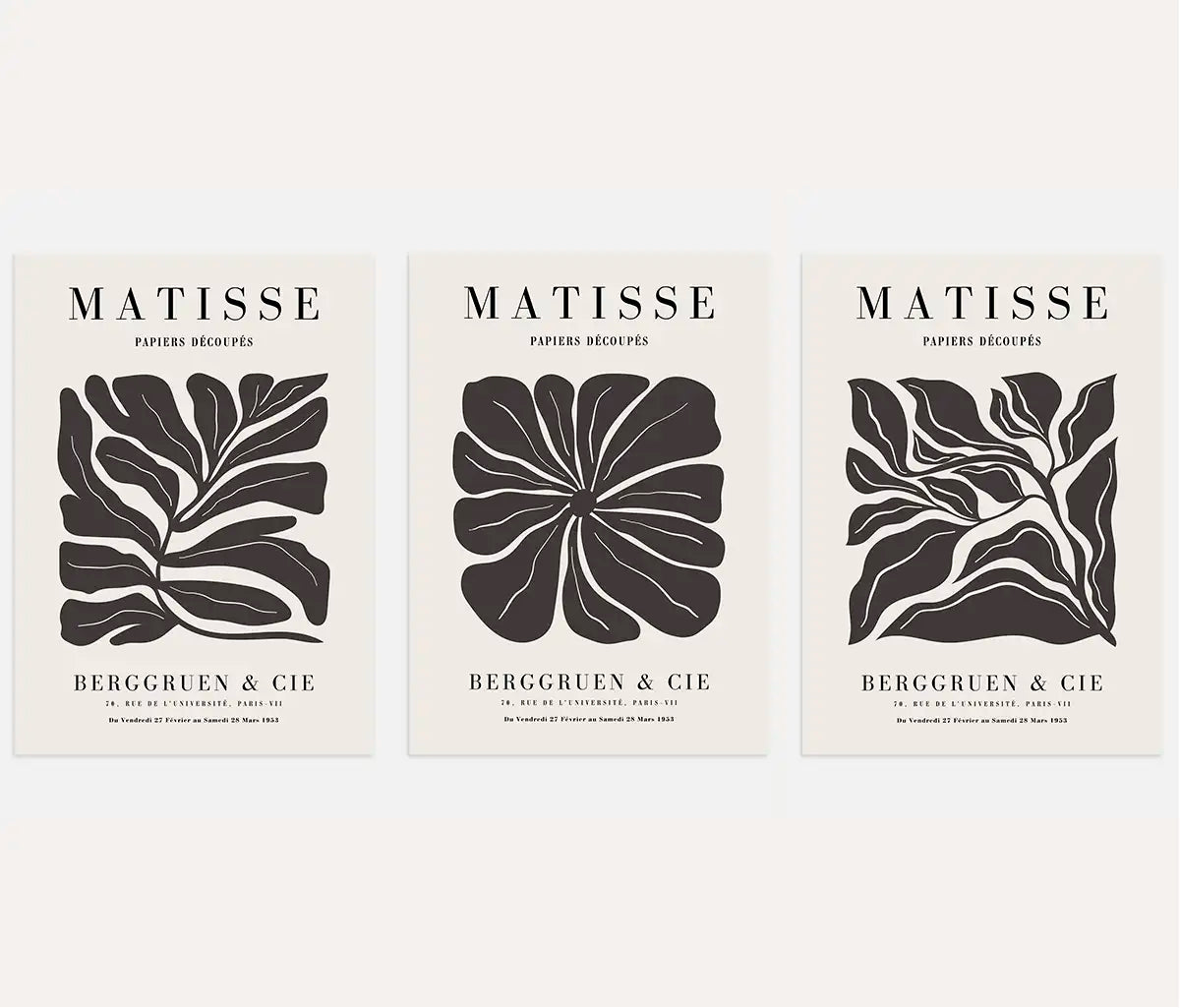 Henri Matisse Botanical Abstraction – Set of 3 Posters