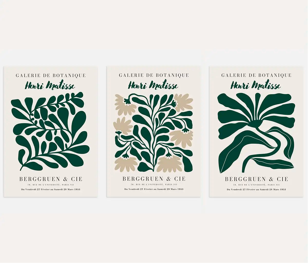Henri Matisse Botanical Harmony Set of 3 Posters
